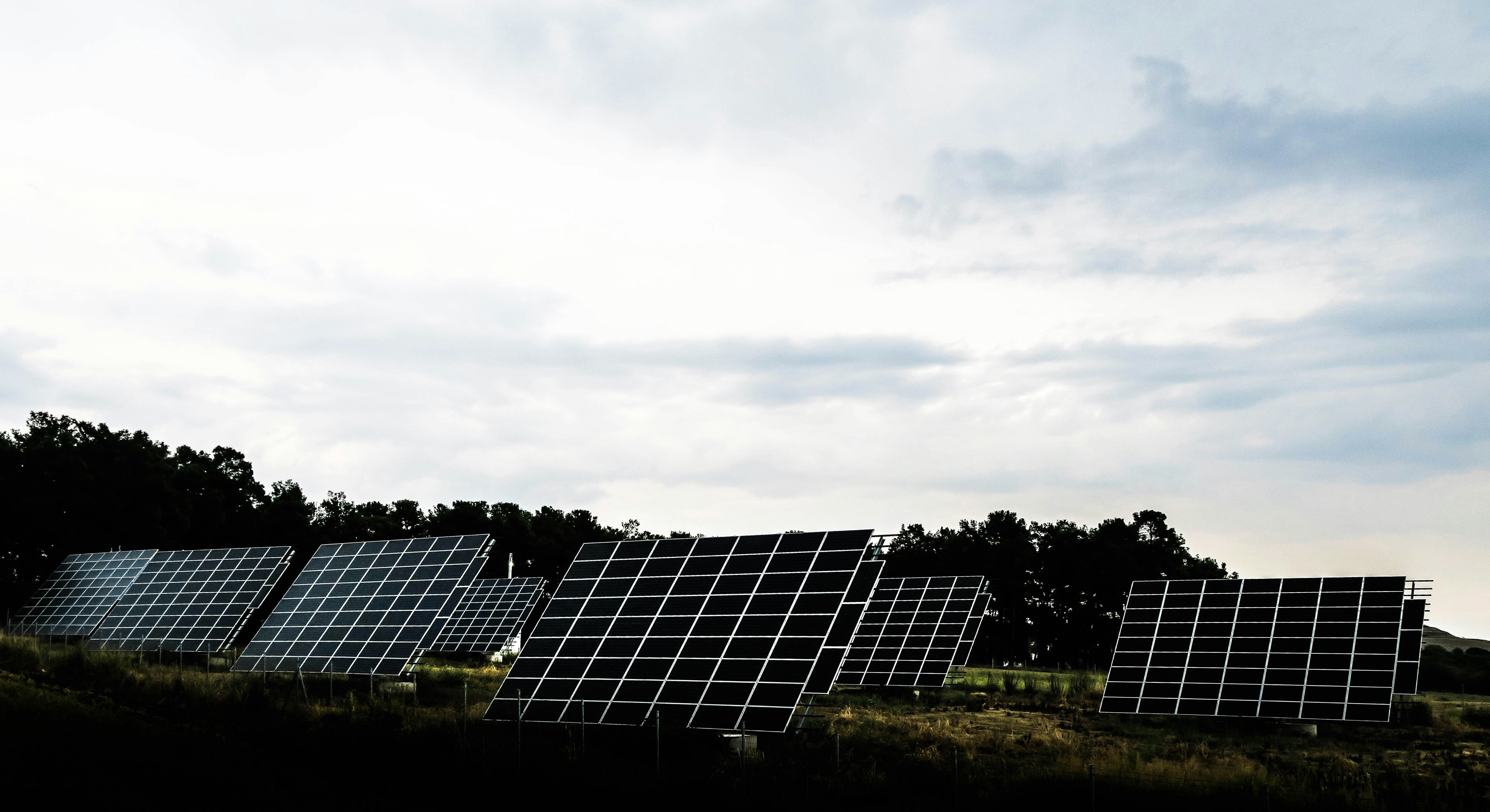 silhouette photography of assorted solar panel behind trees